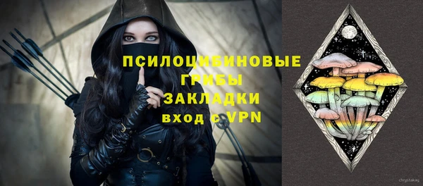 крисы Няндома