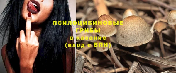 мескалин Нязепетровск
